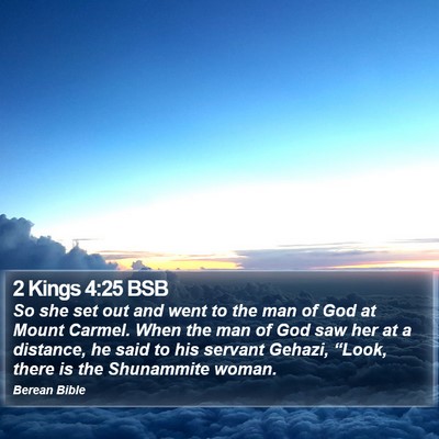 2 Kings 4:25 BSB Bible Verse Image