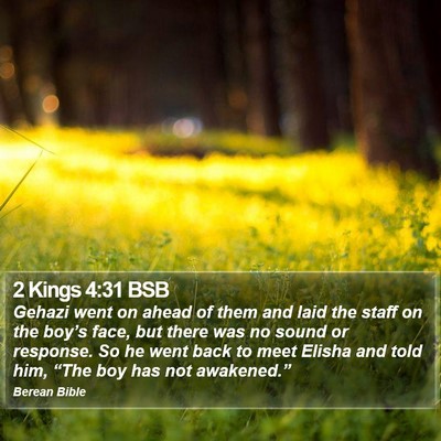 2 Kings 4:31 BSB Bible Verse Image