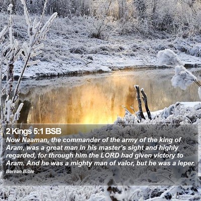 2 Kings 5:1 BSB Bible Verse Image