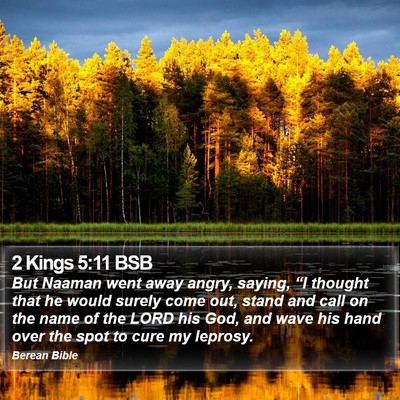 2 Kings 5:11 BSB Bible Verse Image