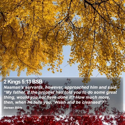 2 Kings 5:13 BSB Bible Verse Image