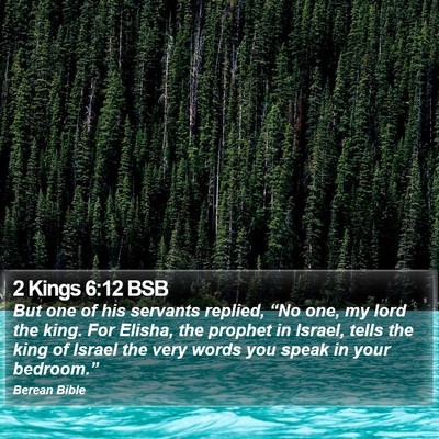 2 Kings 6:12 BSB Bible Verse Image