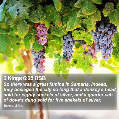 2 Kings 6:25 BSB Bible Verse Image