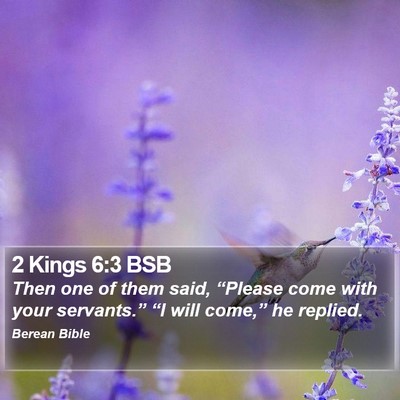 2 Kings 6:3 BSB Bible Verse Image
