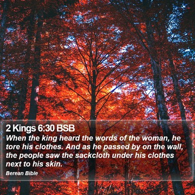 2 Kings 6:30 BSB Bible Verse Image