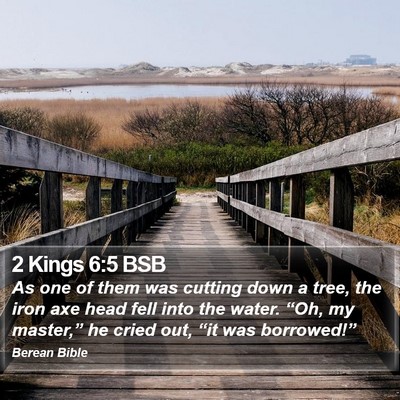 2 Kings 6:5 BSB Bible Verse Image