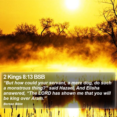 2 Kings 8:13 BSB Bible Verse Image