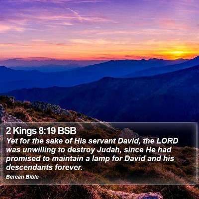 2 Kings 8:19 BSB Bible Verse Image