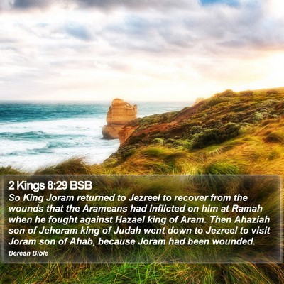 2 Kings 8:29 BSB Bible Verse Image