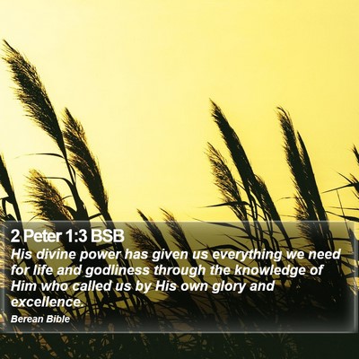 2 Peter 1:3 BSB Bible Verse Image