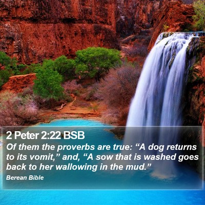 2 Peter 2:22 BSB Bible Verse Image