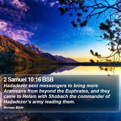 2 Samuel 10:16 BSB Bible Verse Image