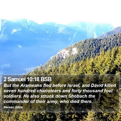 2 Samuel 10:18 BSB Bible Verse Image