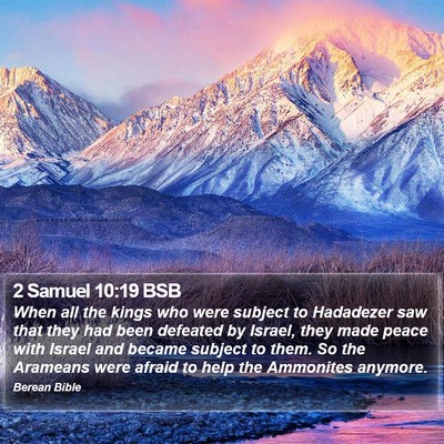 2 Samuel 10:19 BSB Bible Verse Image