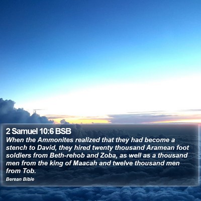 2 Samuel 10:6 BSB Bible Verse Image