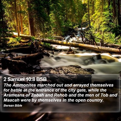 2 Samuel 10:8 BSB Bible Verse Image