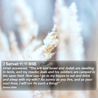 2 Samuel 11:11 BSB Bible Verse Image