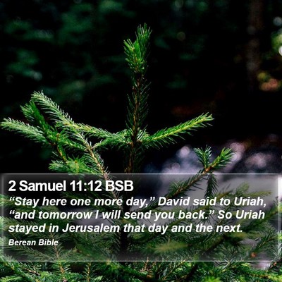 2 Samuel 11:12 BSB Bible Verse Image