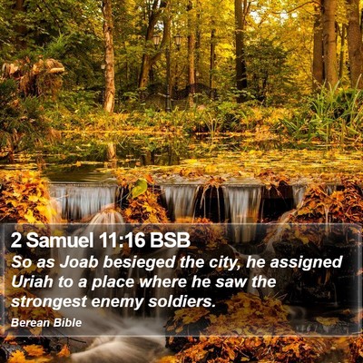 2 Samuel 11:16 BSB Bible Verse Image