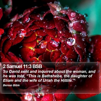 2 Samuel 11:3 BSB Bible Verse Image