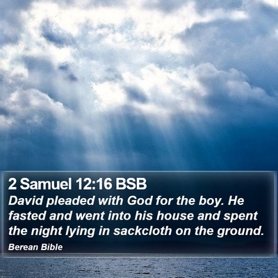 2 Samuel 12:16 BSB Bible Verse Image
