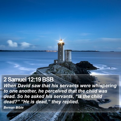 2 Samuel 12:19 BSB Bible Verse Image