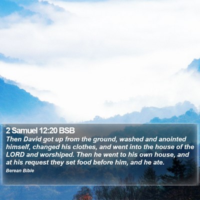 2 Samuel 12:20 BSB Bible Verse Image