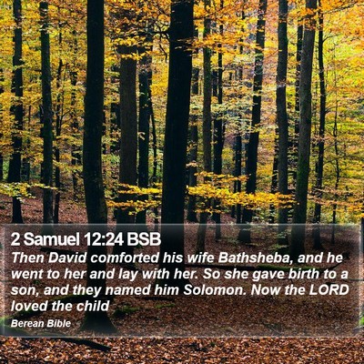 2 Samuel 12:24 BSB Bible Verse Image