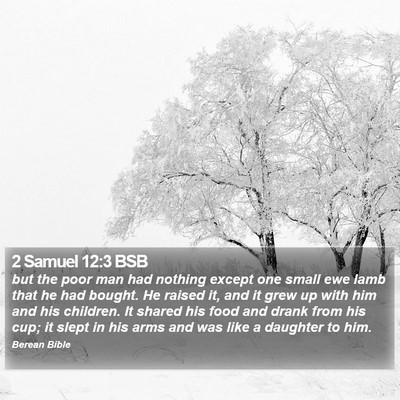 2 Samuel 12:3 BSB Bible Verse Image