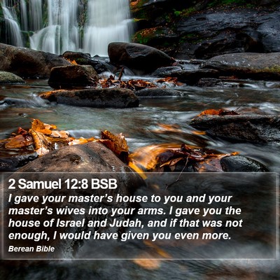 2 Samuel 12:8 BSB Bible Verse Image