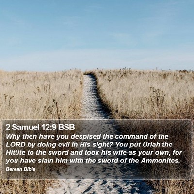 2 Samuel 12:9 BSB Bible Verse Image