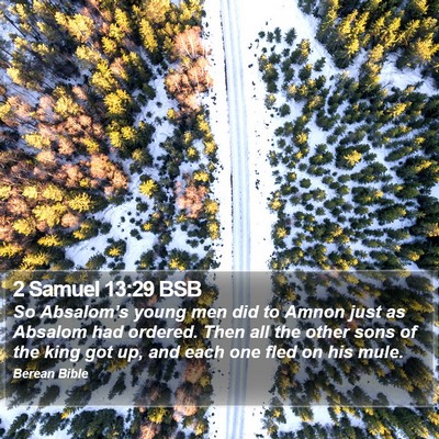2 Samuel 13:29 BSB Bible Verse Image