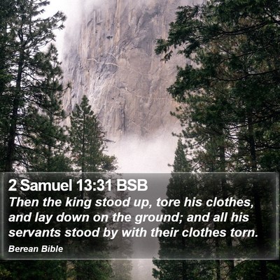 2 Samuel 13:31 BSB Bible Verse Image