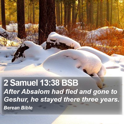 2 Samuel 13:38 BSB Bible Verse Image
