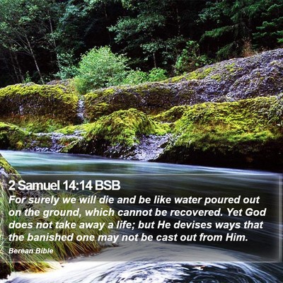 2 Samuel 14:14 BSB Bible Verse Image