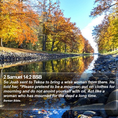 2 Samuel 14:2 BSB Bible Verse Image