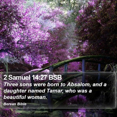 2 Samuel 14:27 BSB Bible Verse Image