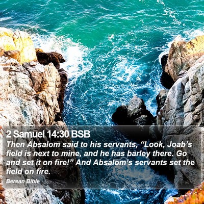 2 Samuel 14:30 BSB Bible Verse Image
