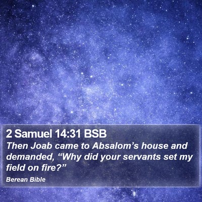 2 Samuel 14:31 BSB Bible Verse Image