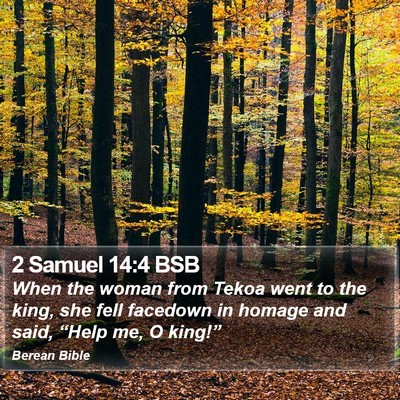 2 Samuel 14:4 BSB Bible Verse Image