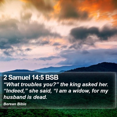 2 Samuel 14:5 BSB Bible Verse Image