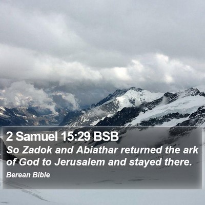 2 Samuel 15:29 BSB Bible Verse Image