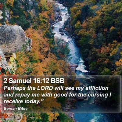 2 Samuel 16:12 BSB Bible Verse Image