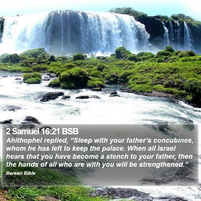 2 Samuel 16:21 BSB Bible Verse Image