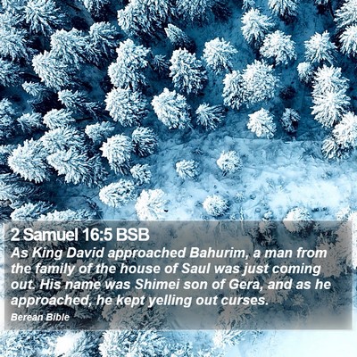 2 Samuel 16:5 BSB Bible Verse Image