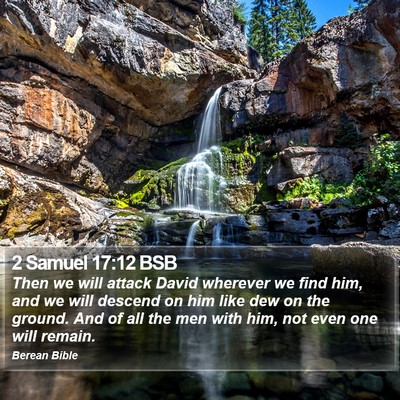 2 Samuel 17:12 BSB Bible Verse Image