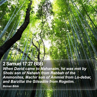 2 Samuel 17:27 BSB Bible Verse Image