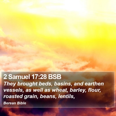 2 Samuel 17:28 BSB Bible Verse Image