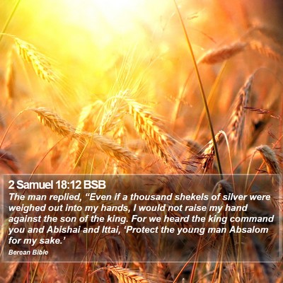 2 Samuel 18:12 BSB Bible Verse Image