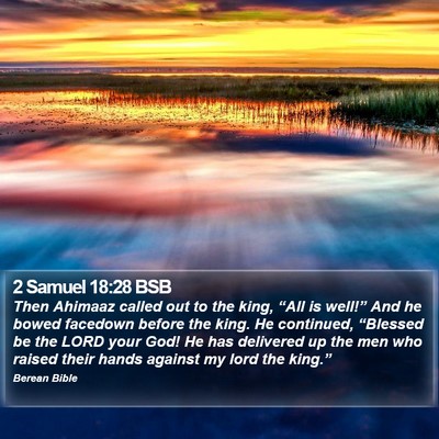 2 Samuel 18:28 BSB Bible Verse Image